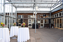 SPRING HAS SPRUNG BAT MITZVAH